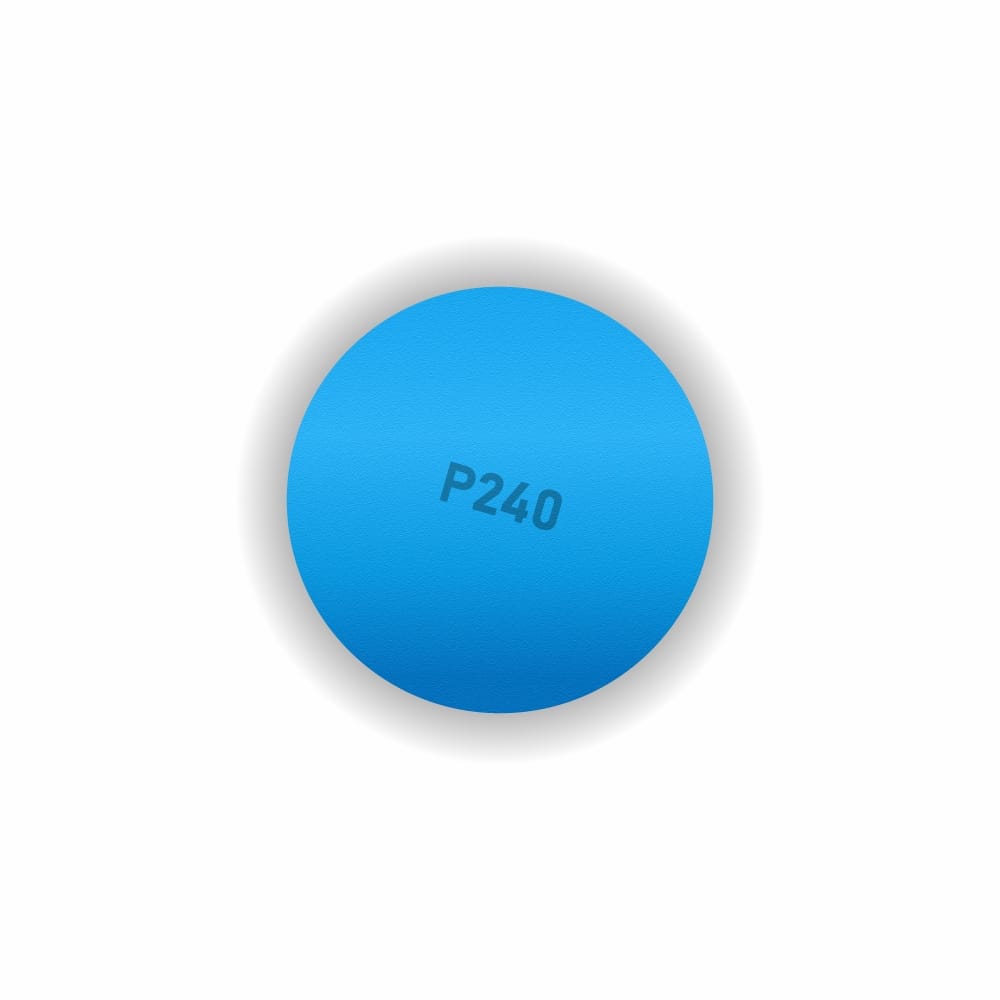 Disc abraziv cu velcro 76mm 0G P240 Disc abraziv cu velcro 76mm 0G P240